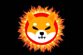 Shiba inu burn