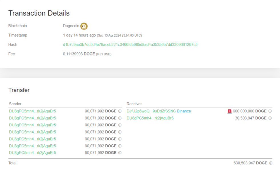 Dogecoin Binance