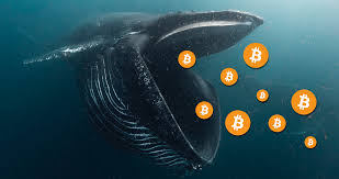 Bitcoin whales