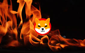 Shiba Inu burn