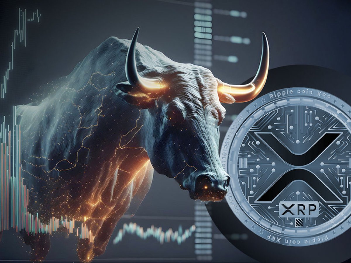 XRP bull