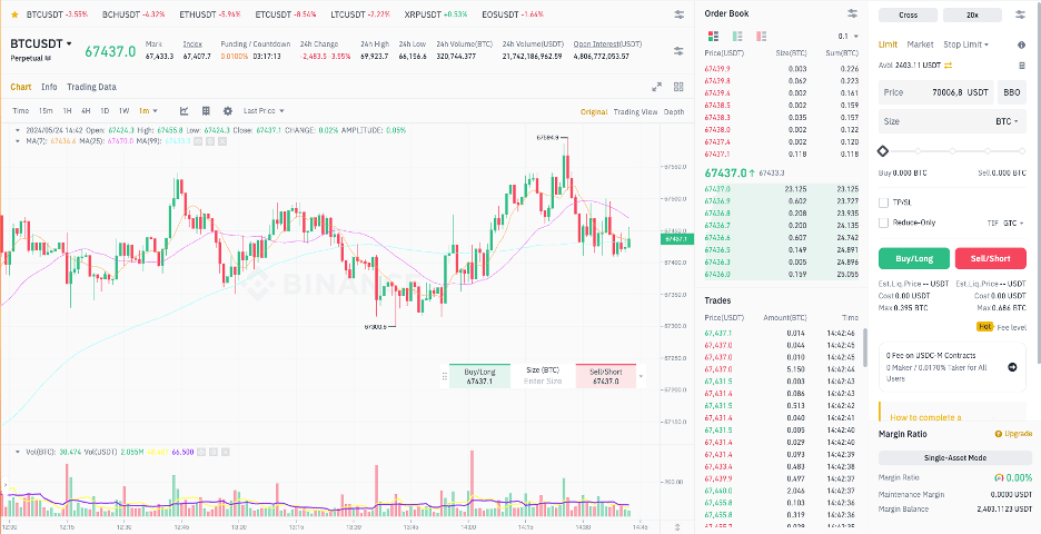 Binance 1-minute trading chart