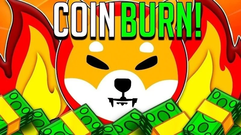 Shiba Inu SHIB Burn Binance petition