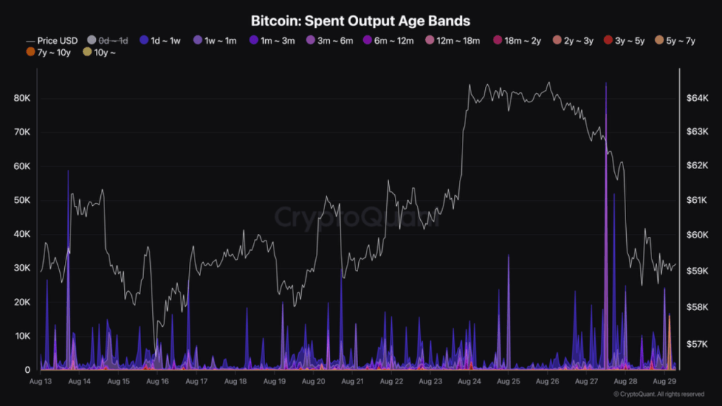 Bitcoin long-term holders moving coins | Source: @XBTManager via CryptoQuant