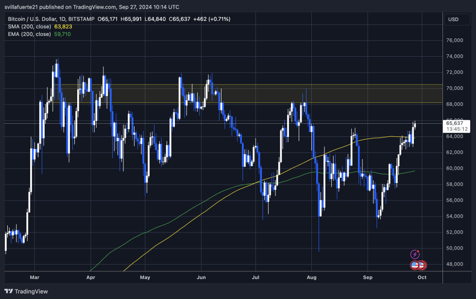 BTC trading above the 1D 200 MA. 