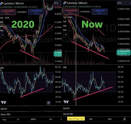 Cardano Bitcoin