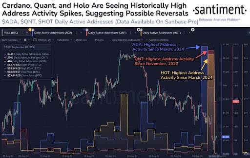 Cardano