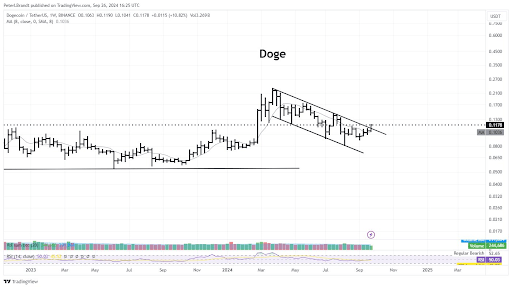 Dogecoin Shiba Inu 1