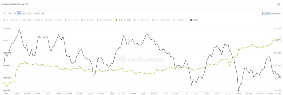 BTC balance by holdings show whales control 20.3% of the circulating supply. 