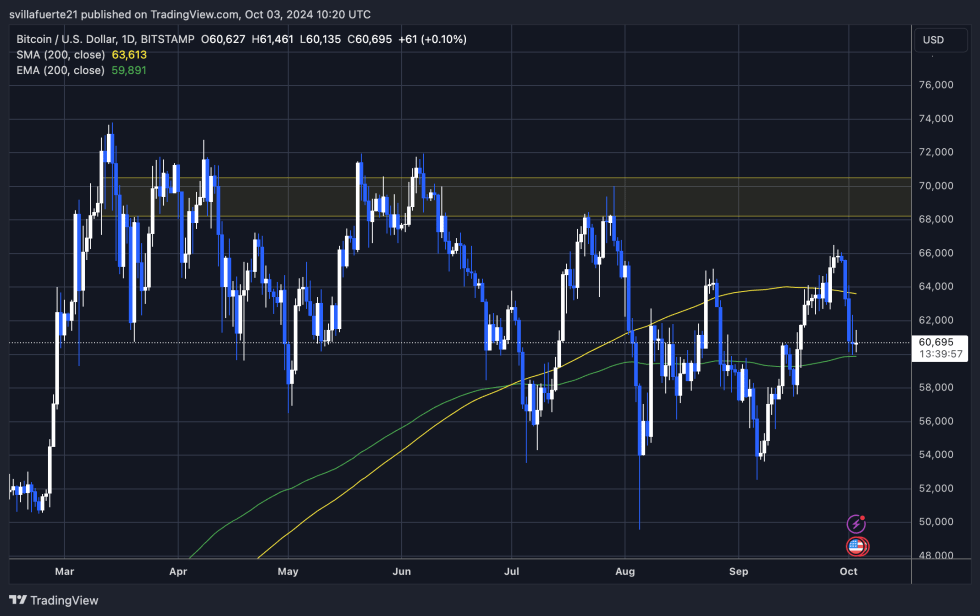 BTC trading above the 1D 200 EMA. 