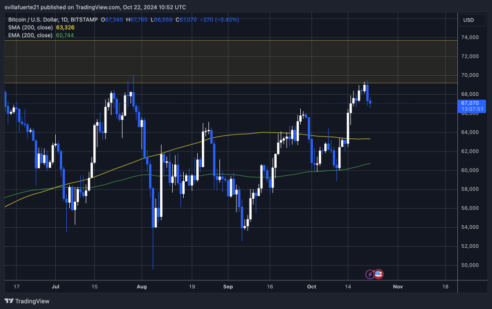 BTC holding above $66,000 