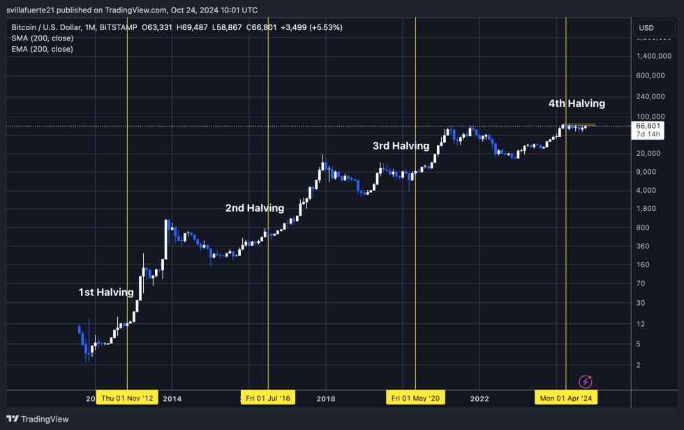 BTC 1M chart showing every halving cycle 