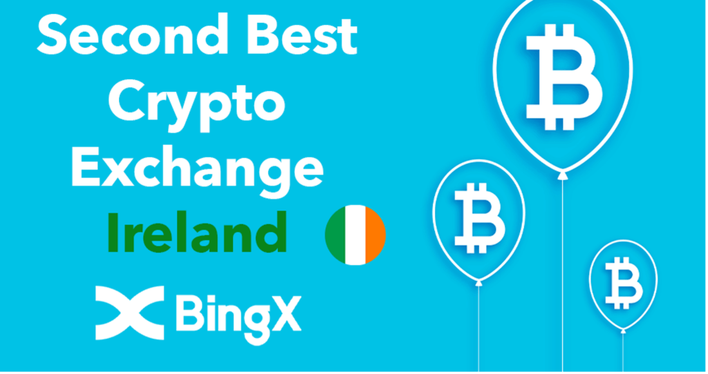 Bingx review