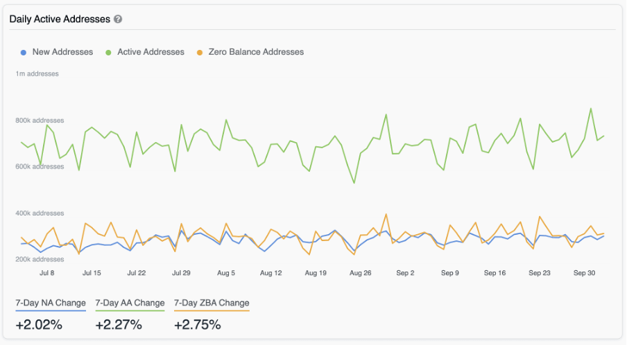 data insight