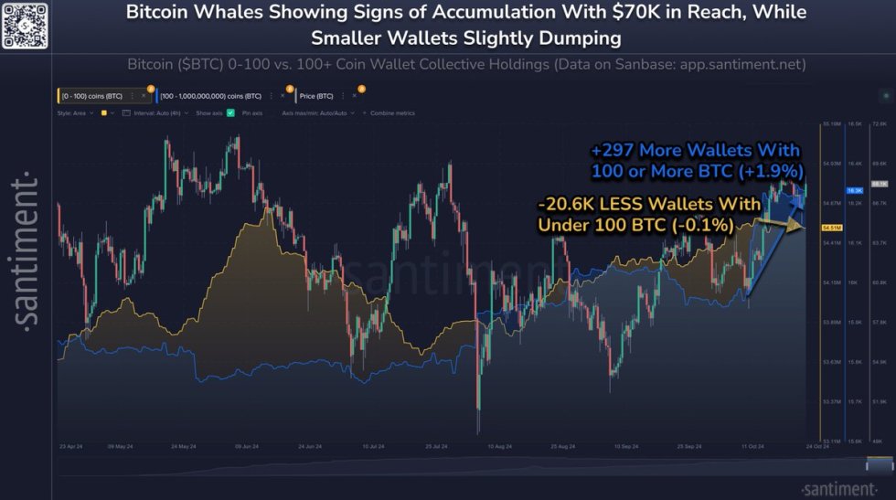 Bitcoin whales are growing while retail shrinks 