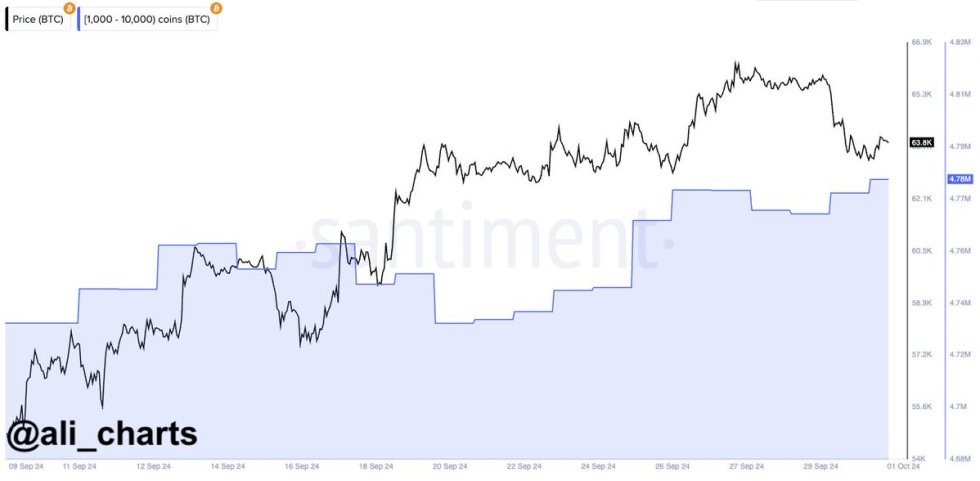 Bitcoin whales have bought over 50,000 $BTC in the last 10 days.