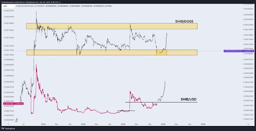 Dogecoin vs. Shiba Inu