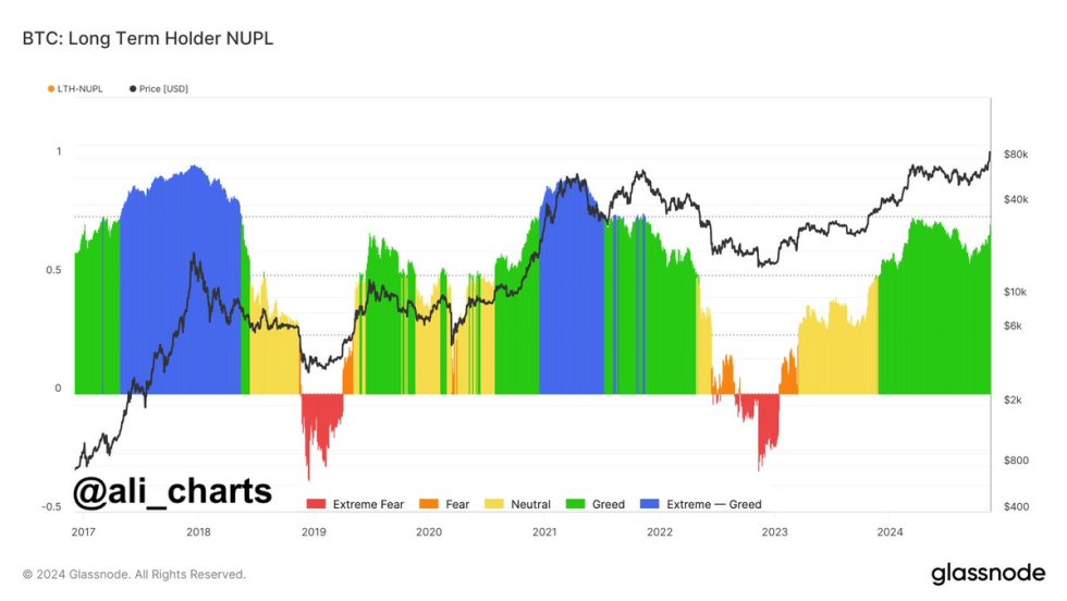 Bitcoin Long Term Holder NUPL 