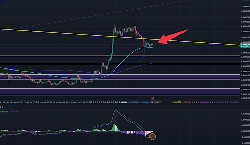 Dogecoin price