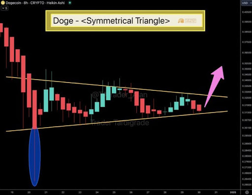 Dogecoin price 2