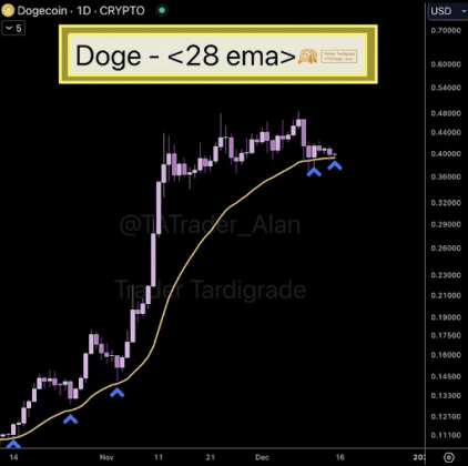 DOGE price 2