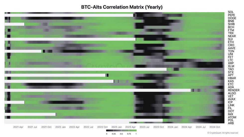 Bitcoin-Altcoins Correlation Matrix 