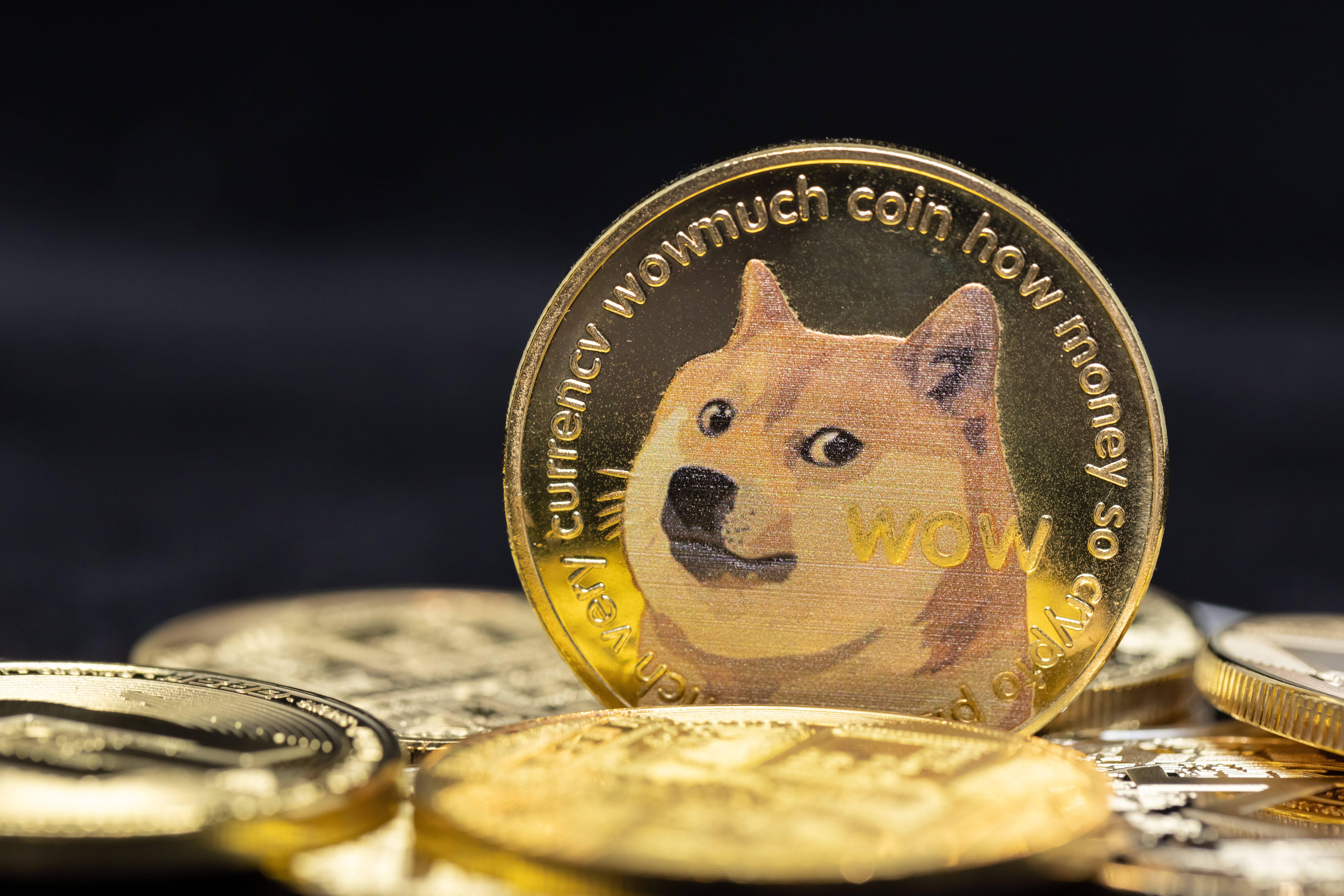 Crypto whales kopen 470 mln DOGE tokens, koers reageert – kan Dogecoin 1 euro worden?