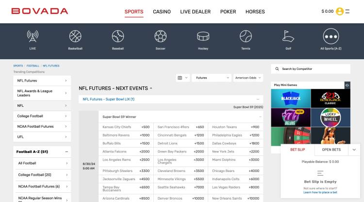 Bovada offshore sportsbook - NFL futures