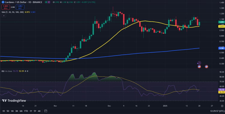 Cardano koers grafiek