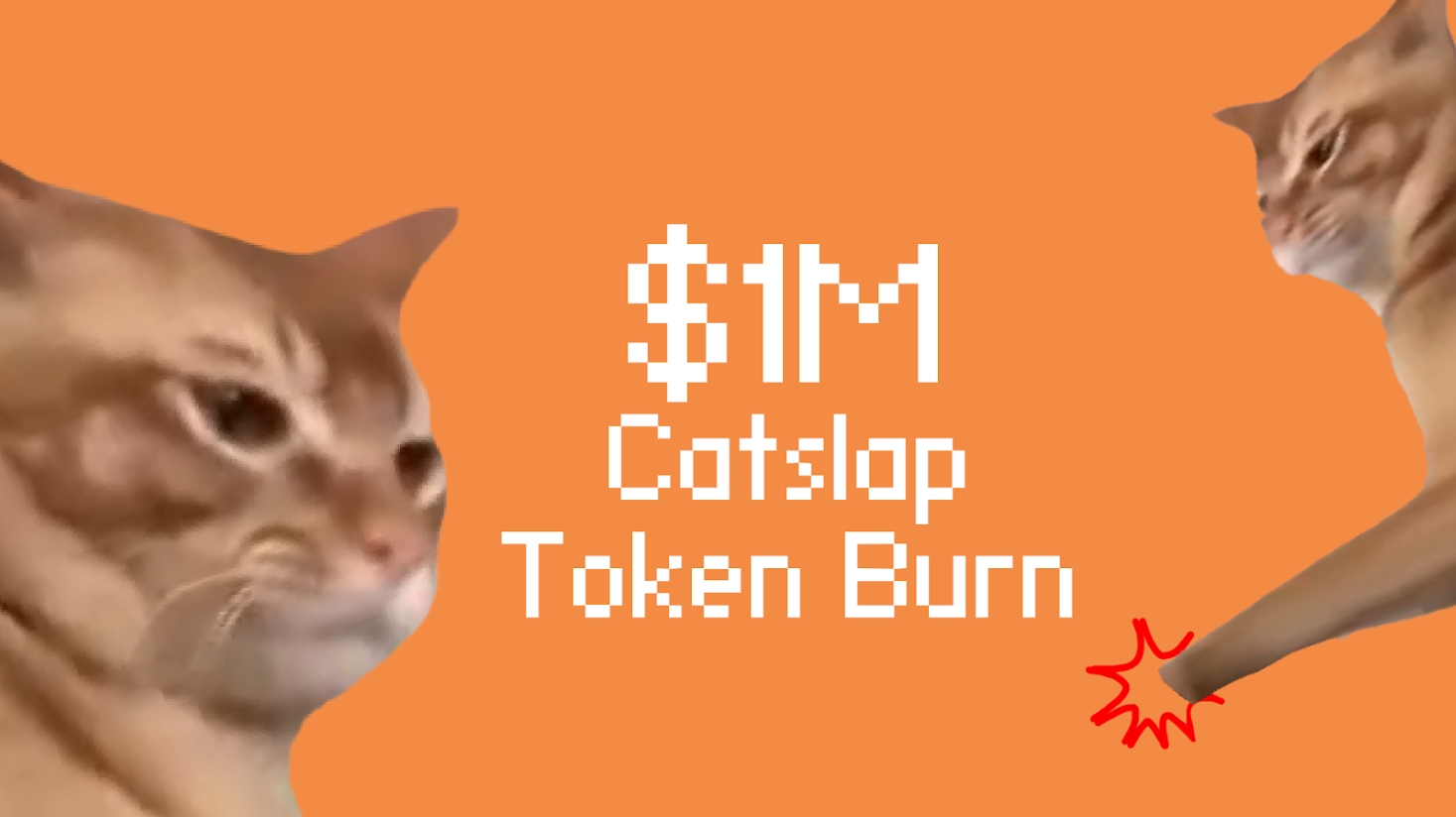 Catslap เผาเหรียญ $SLAP มูลค่า 1 ล้านดอลลาร์ เพื่อจุดประกายตลาดกระทิงเหรียญมีมในปี 2025