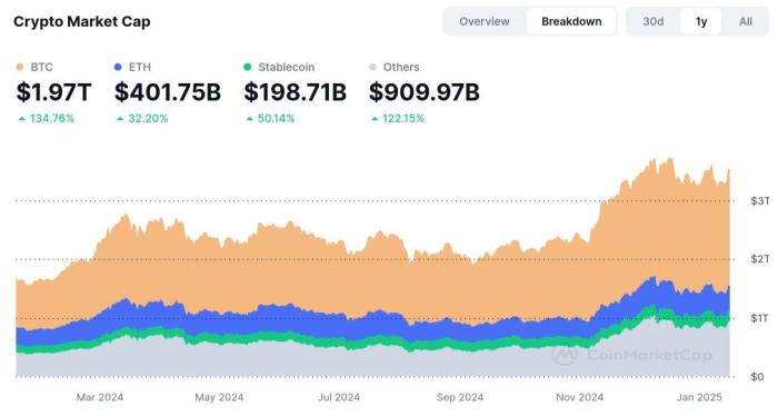 Crypto market cap changes since 2024