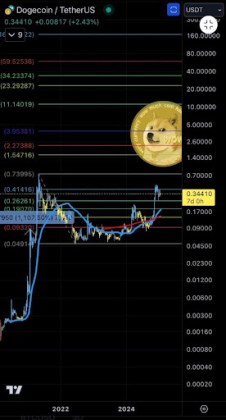 Dogecoin price 2