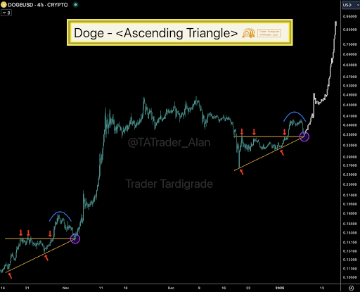 Dogecoin price