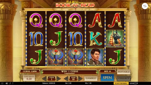 A screenshot from the Book of Dead slot from Play'n GO