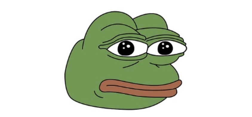 Taking Inspiration From the Existing Project - PEPE
