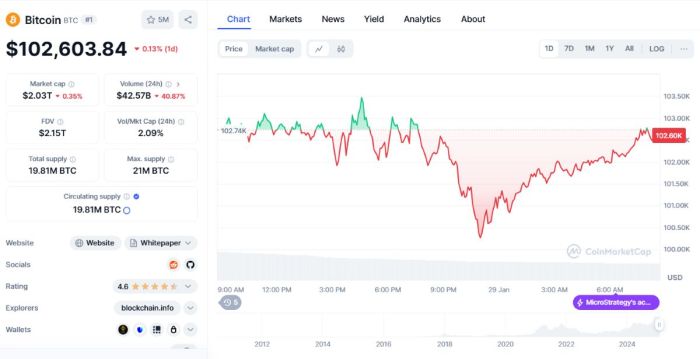 Precio de Bitcoin. Fuente: CoinMarketCap