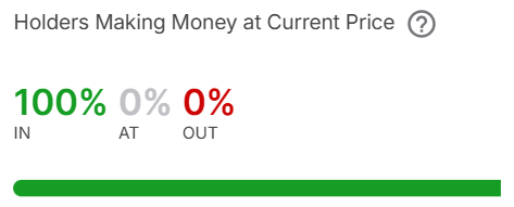 100% of Bitcoin holders are in profit | Source: IntoTheBlock on X