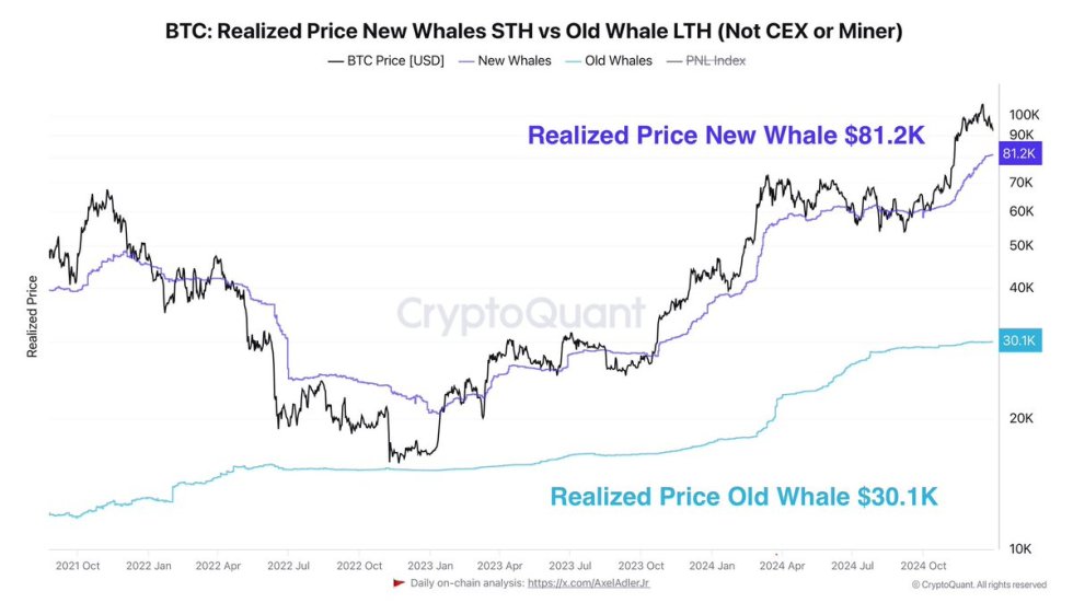 Bitcoin realized price New Whales STH vs Old Whales LTH 