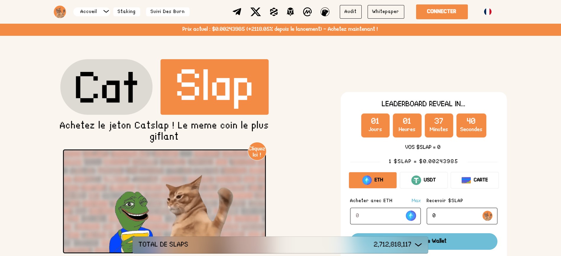 catslap ico