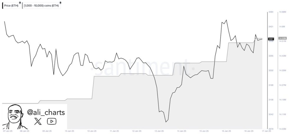 Ethereum Whales buy over 330,000 ETH | Source: Ali Martinez on X