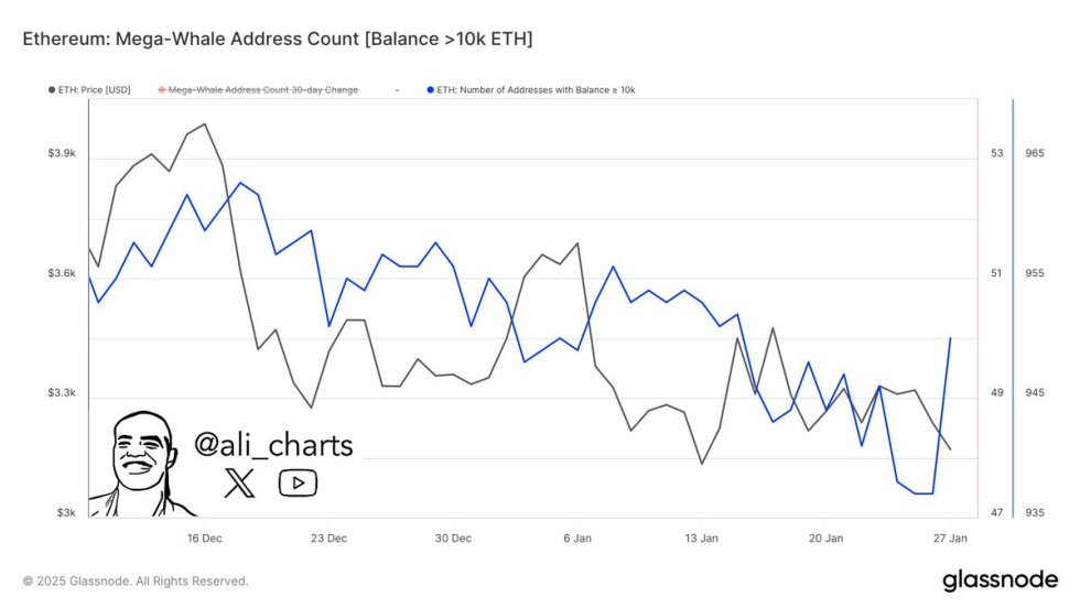 13 mega whales (each holding over 10,000 ETH) joined the network | Source: Ali Martinez on X