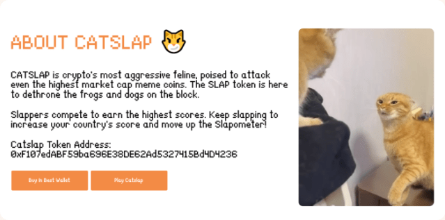 Catslap presale