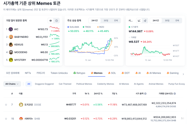 밈코인 종류