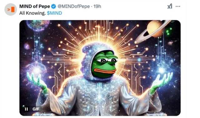 https://x.com/MINDofPepe/status/1879917716292944272