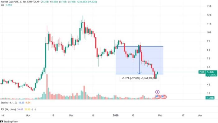 Gráfico de PEPE. Fuente: TradingView