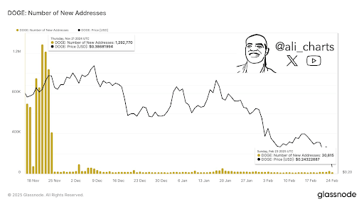 Dogecoin