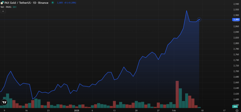 Grafico PAX Gold - Fonte TradingView