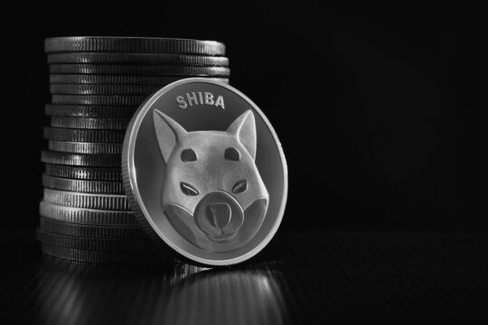 Shiba Inu