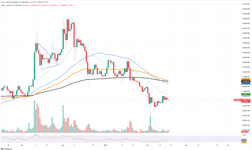 Shiba Inu technische analyse - Tradingview