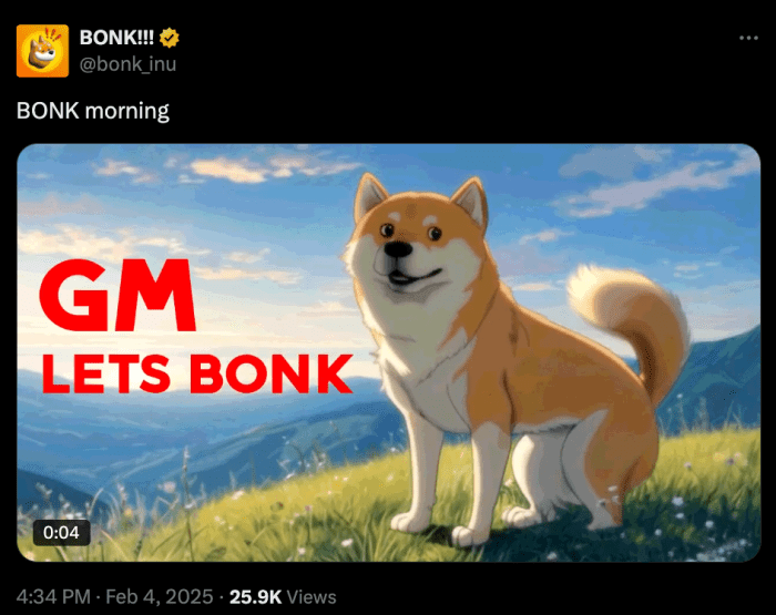 $BONK memes post on X